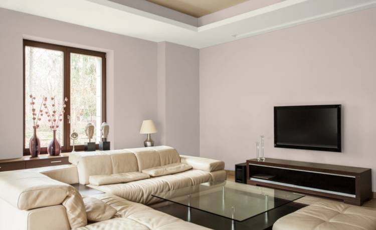 Дизайн интерьера. Фото. Природные цвета краски для стен. Готовые цветовые схемы для вашего дома.